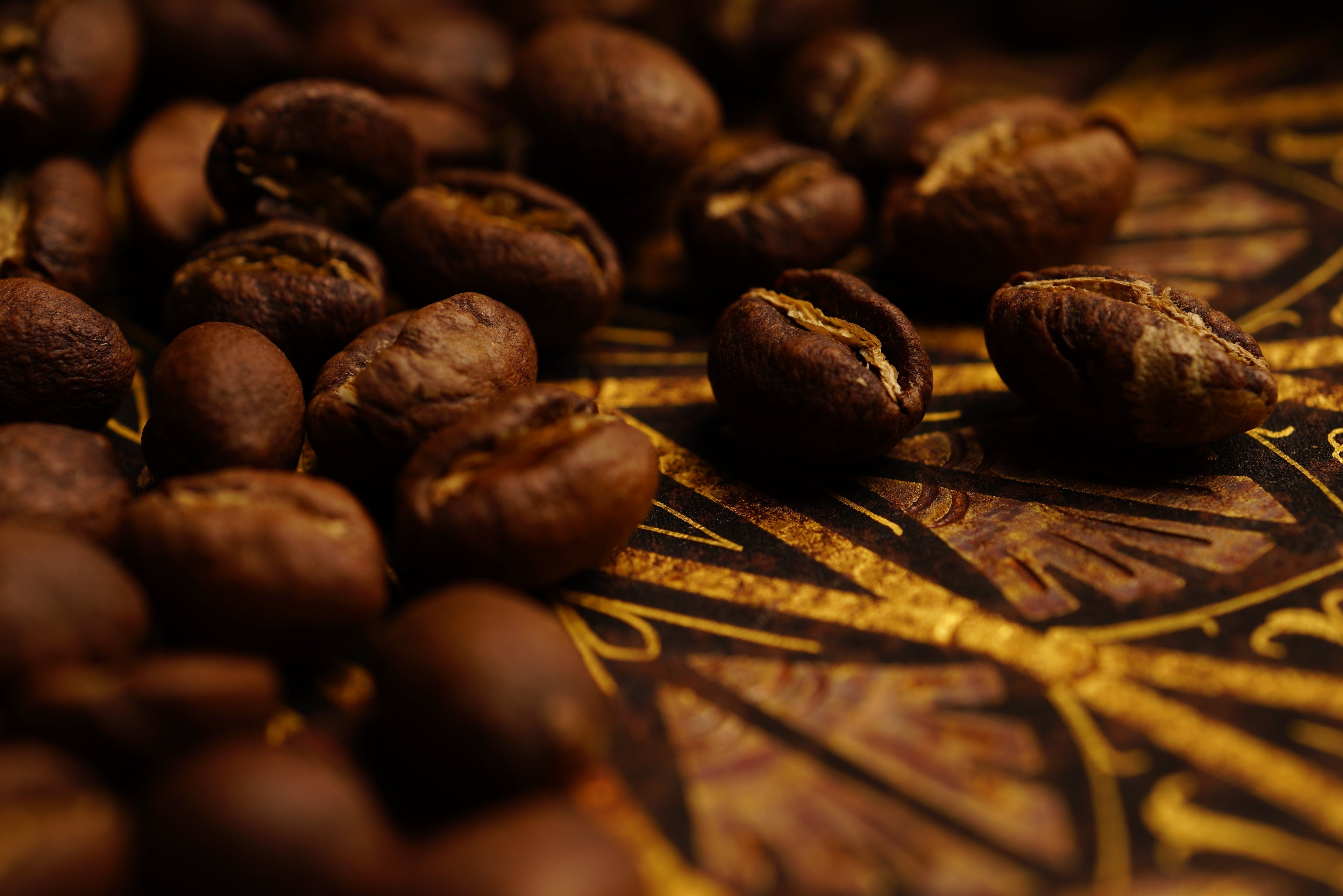 Choosing the Right Beans — A Journey of Taste and Time