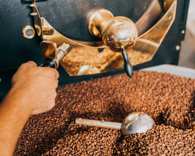 Person operating a coffee roaster with coffee beans around