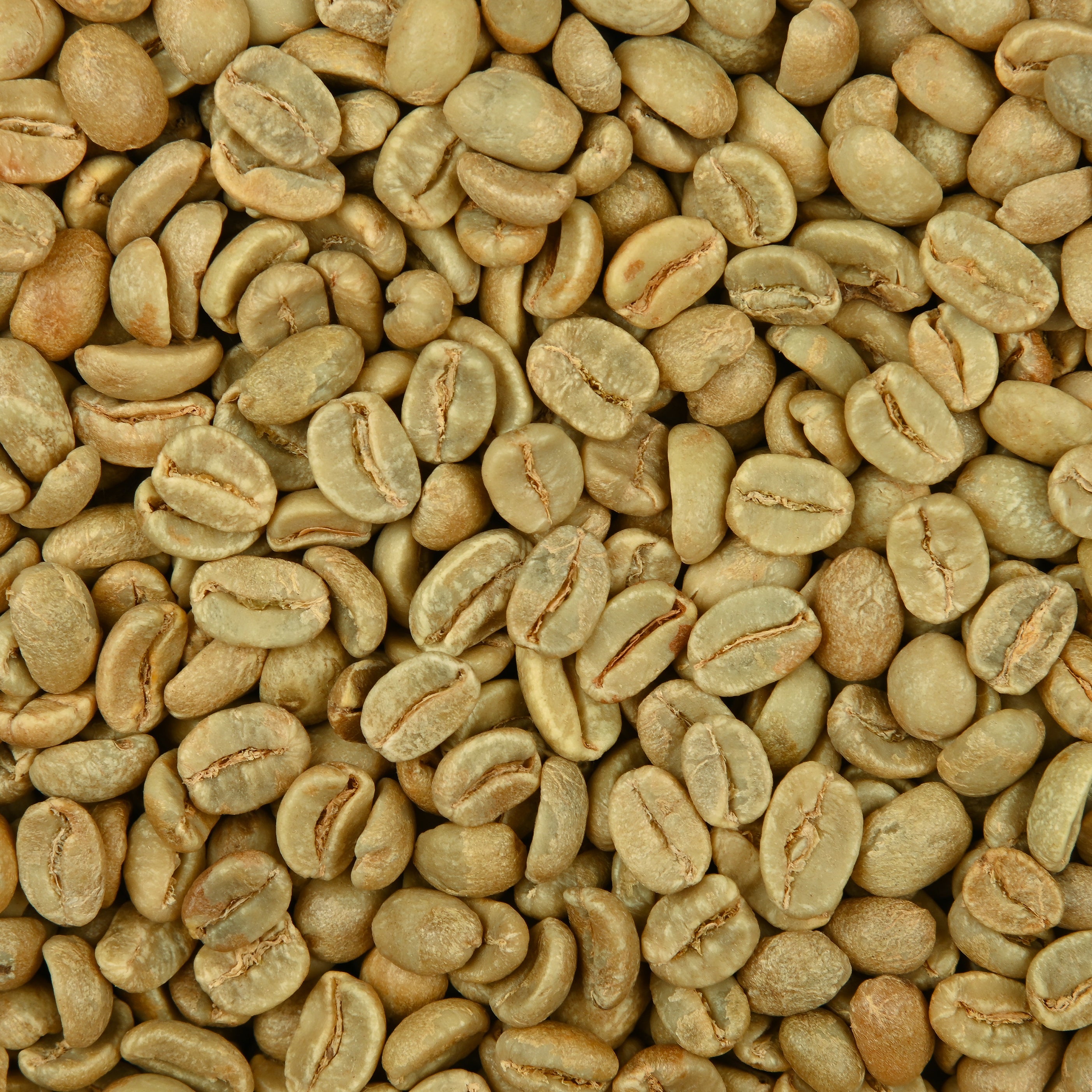 Ethiopia Hambela Wamena